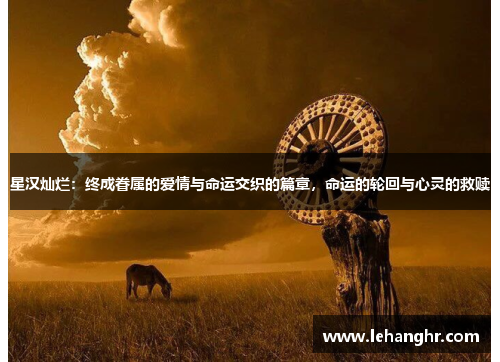 星汉灿烂：终成眷属的爱情与命运交织的篇章，命运的轮回与心灵的救赎